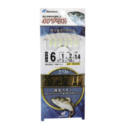 SABIKI HS250 HAYABUSA