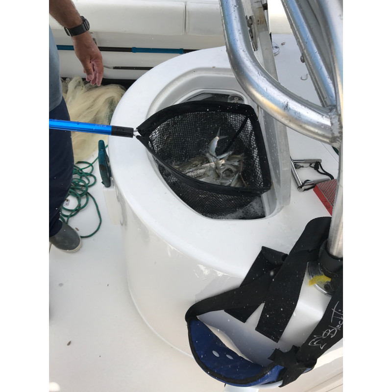 EPUISETTE VIVIER CUDA