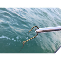 DEGORGEOIR CUDA 22 CM