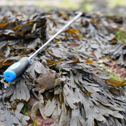 CROCHET À CRABE INOX