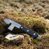 DETROQUOIR HUITRES INOX PRO