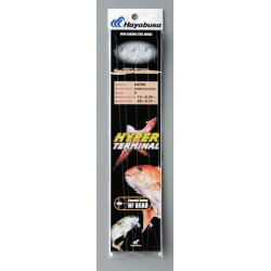 MONTAGE EX700 HAYABUSA T1 SPECIAL DAURADE SEAGUAR