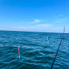 Sticks Pikaichi Hayabusa 14 cm Rose x20 | Calamar et Seiche