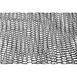 FILET DE RECHANGE EPUISETTE CARPO