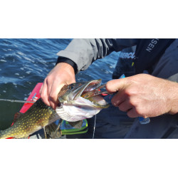 PINCE TITANIUM COUDÉE 24 CM