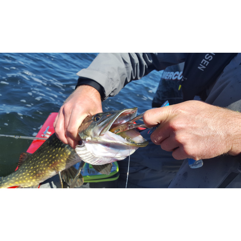 PINCE TITANIUM COUDÉE 24 CM