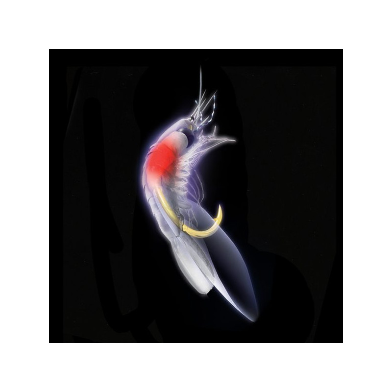 SABIKI EX127 HAYABUSA