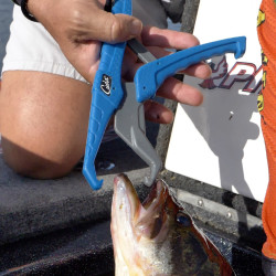 PINCE A POISSON FLOTTANTE CUDA