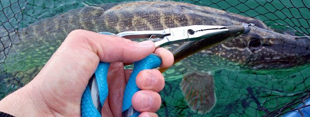 Équipement du pêcheur