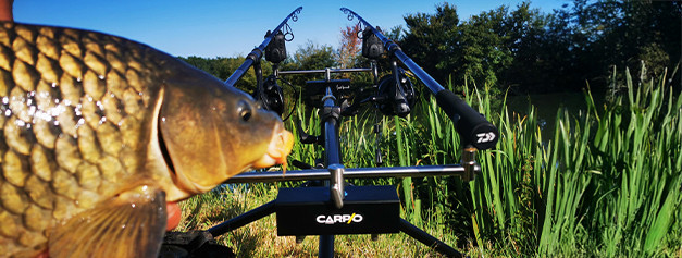 Accessoires carpe CARP’O - Matériel pêche carpe | AMIAUD SHOP