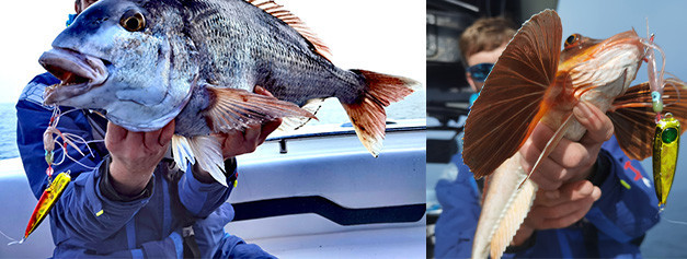 Inchiku Hayabusa - Leurre pêche mer | AMIAUD SHOP