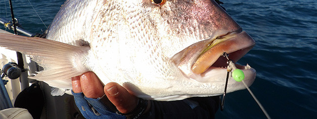 Montages Prêt À Pêcher