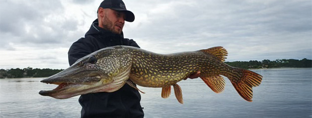 Accessoires pêche carnassier - Hameçons brochet, sandre | AMIAUD SHOP