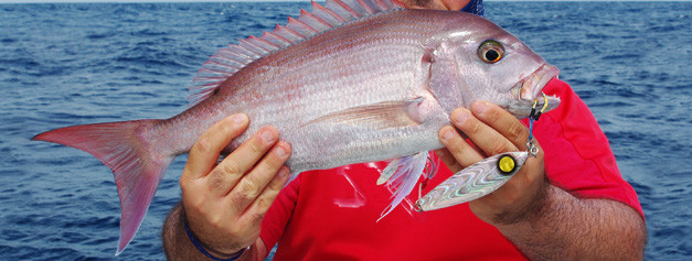 Assist Hook Hayabusa - Hameçon jig pêche en mer | AMIAUD SHOP