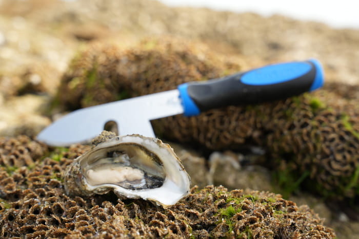 detroquoir-huitre-peche-a-pied
