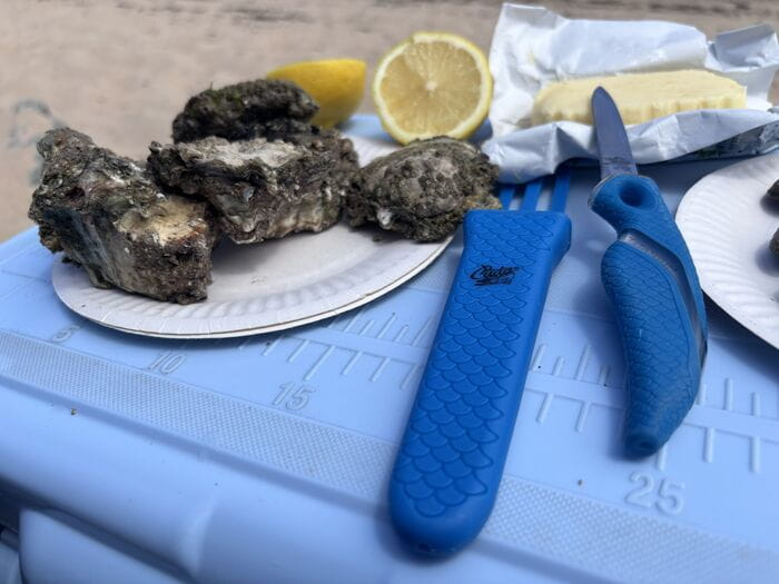 peche-apied-huitre-degustation