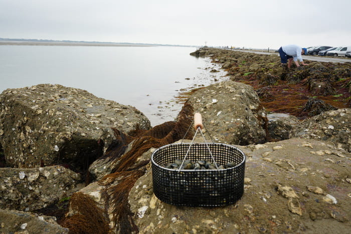 pannier-coquillage-peche-a-pied