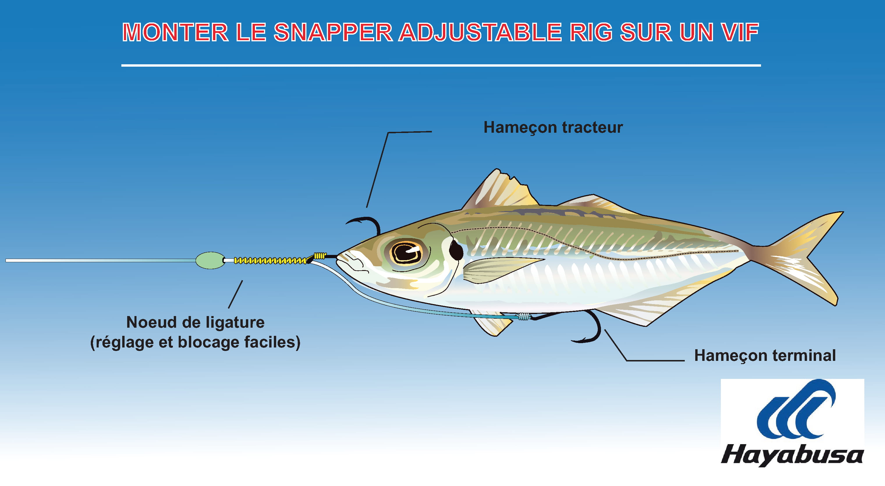 fonctionnement-snapper-adjustable-rig-hayabusa.jpg