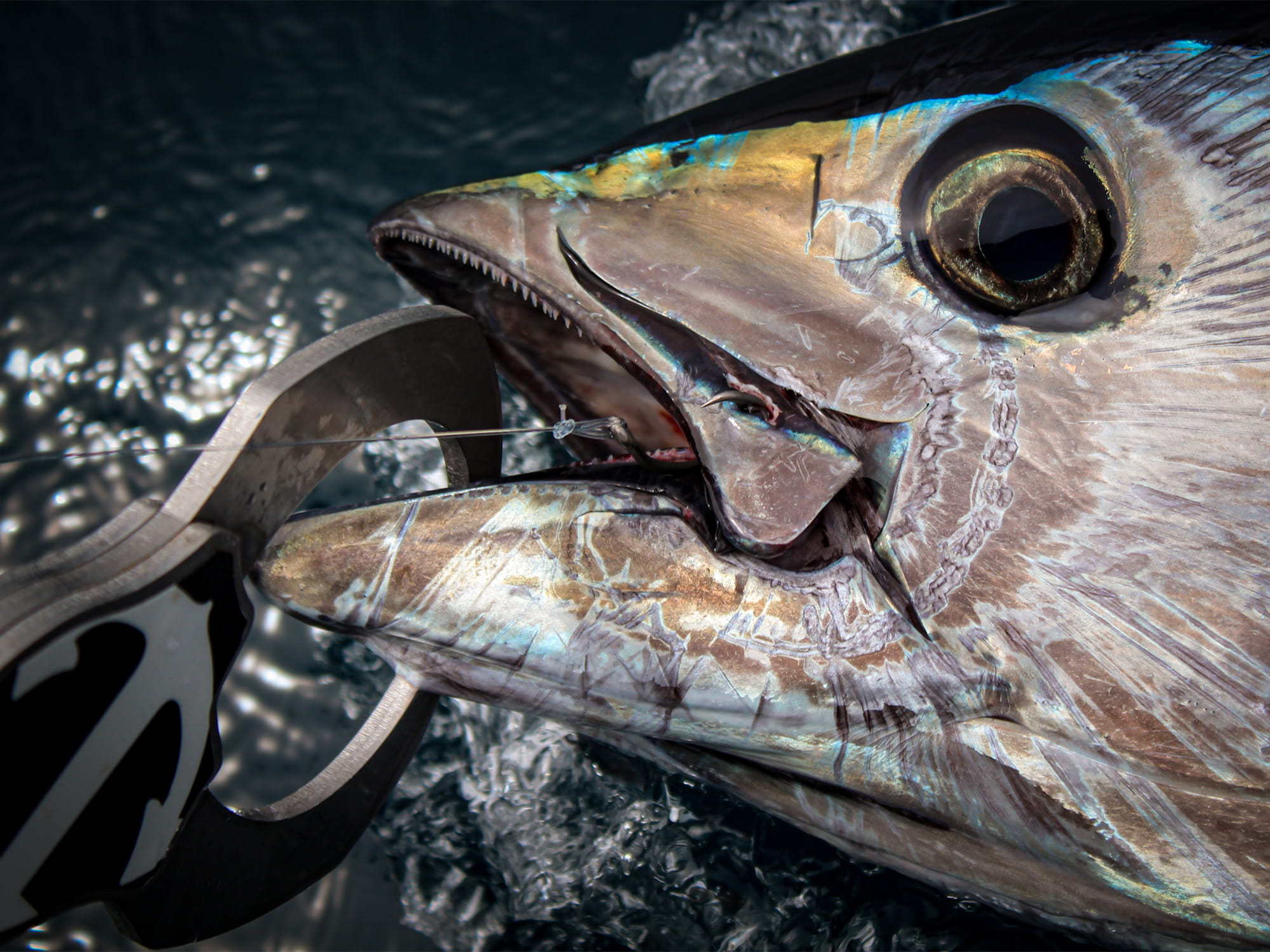 peche big game