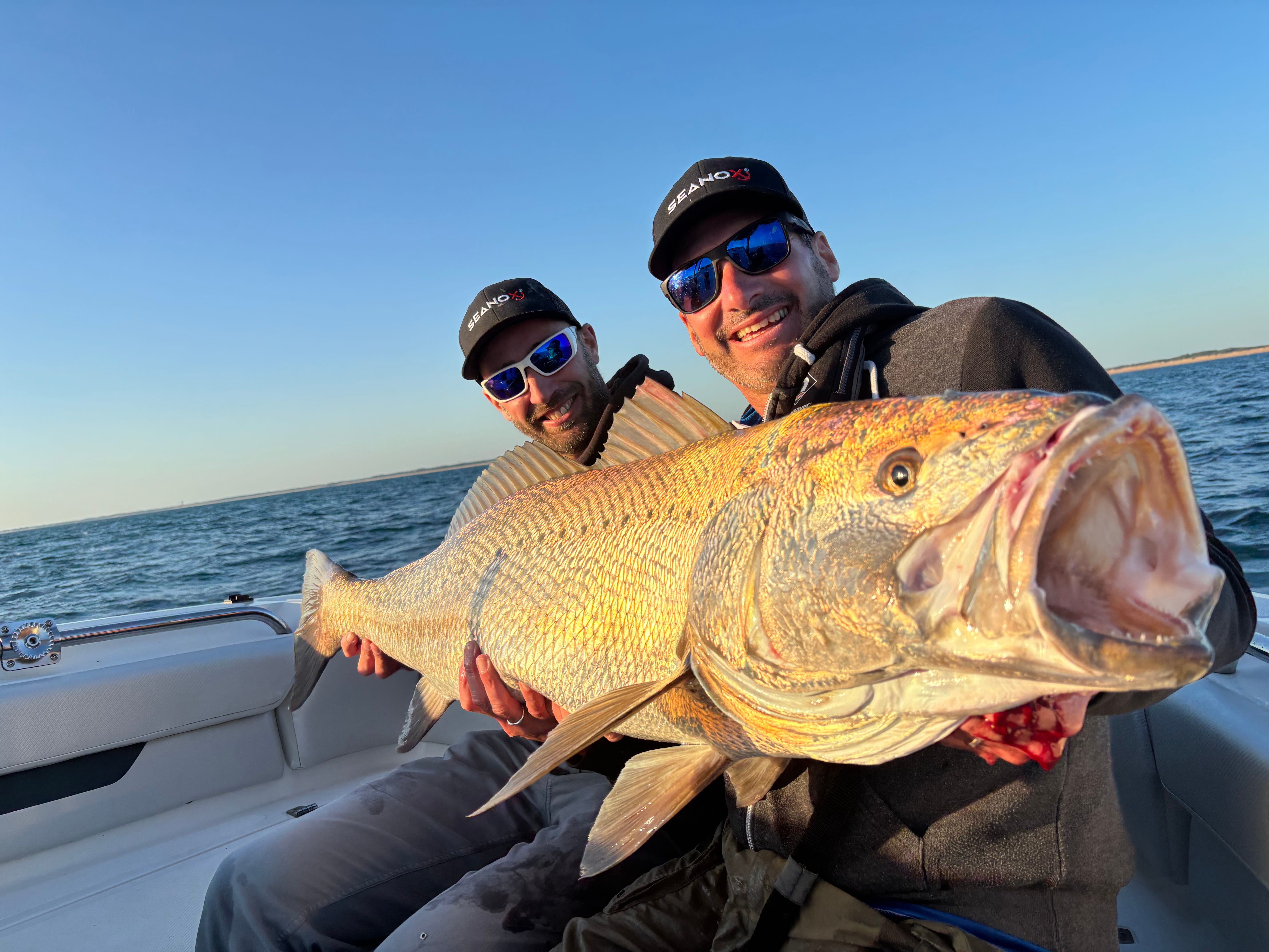 Pêche au vif en mer : guide expert pour le maigre, denti, sériole et bar !