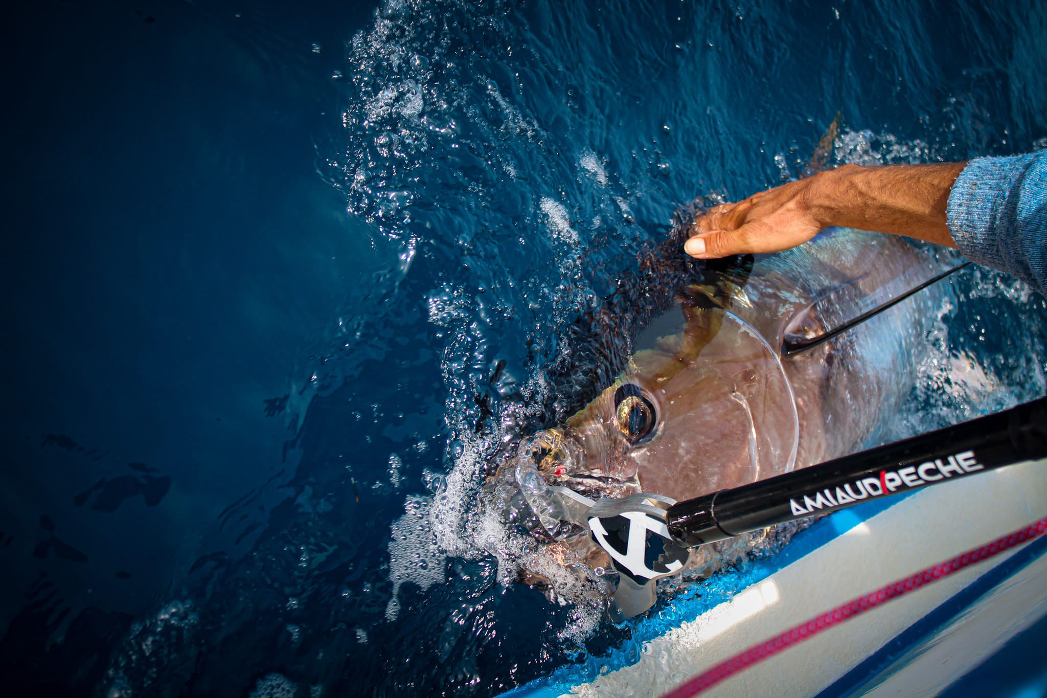 H.MAG188 Hayabusa : le circle hook de référence pour les poissons records