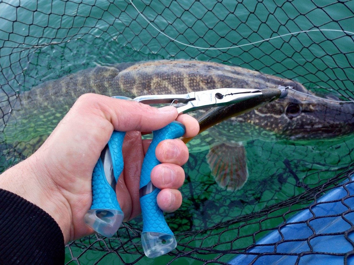 CUDA : la marque américaine d’outils de pêche fiables et performants